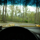 Illustration for article titled A Corvette in its Unnatural Habitat, One Year and Fifteen Thousand Miles Later